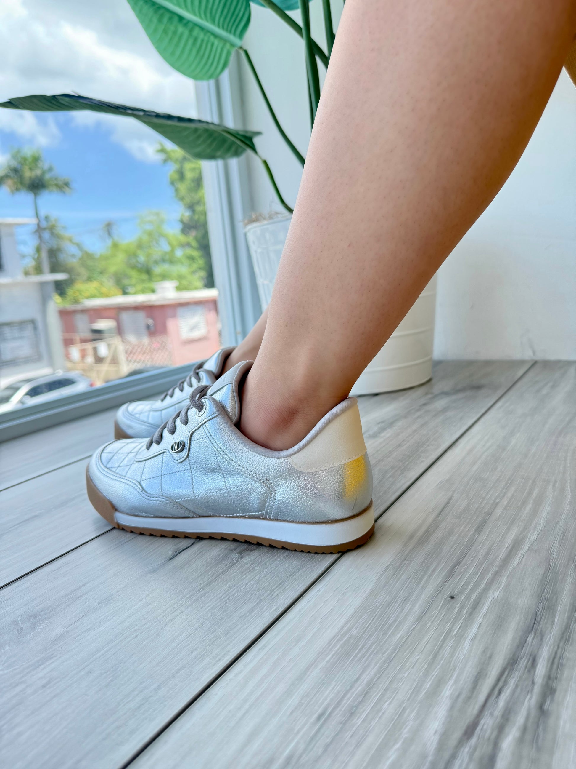 Francis silver 9 - Stela The Shoetique