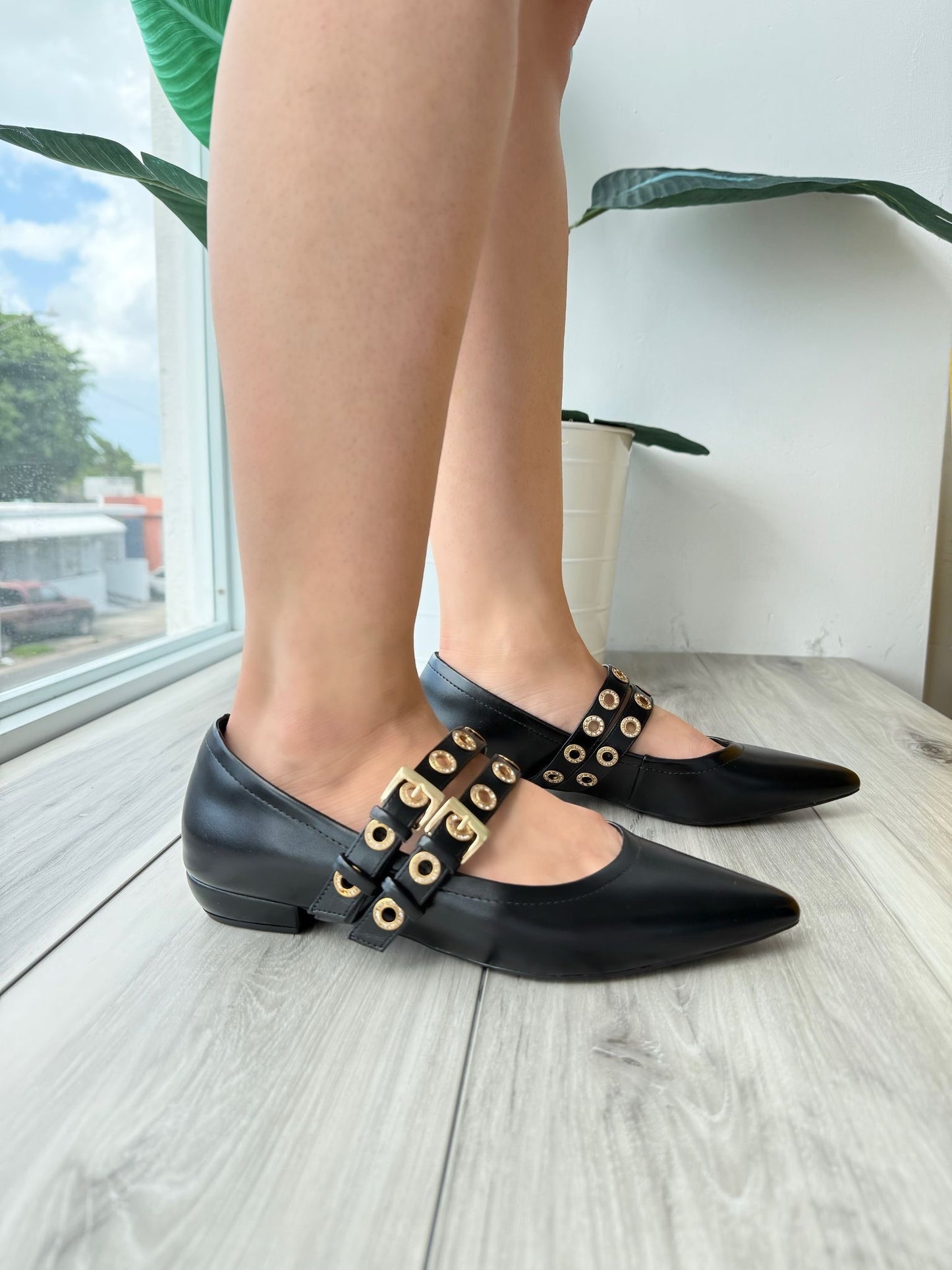 Callista Black