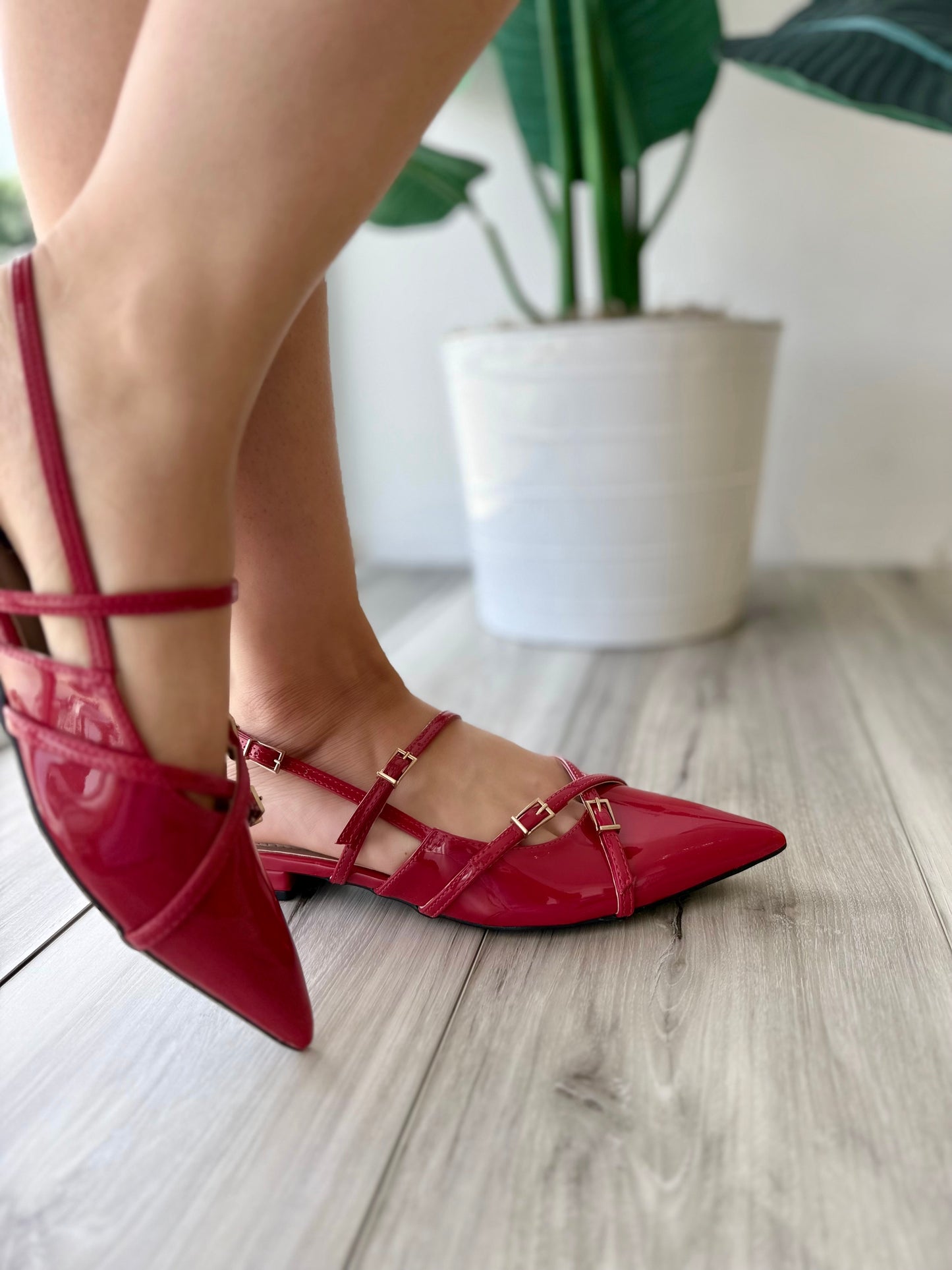 Iris red