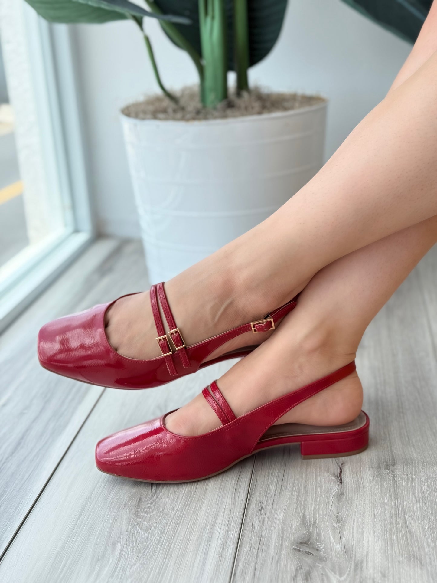 Gaia Red