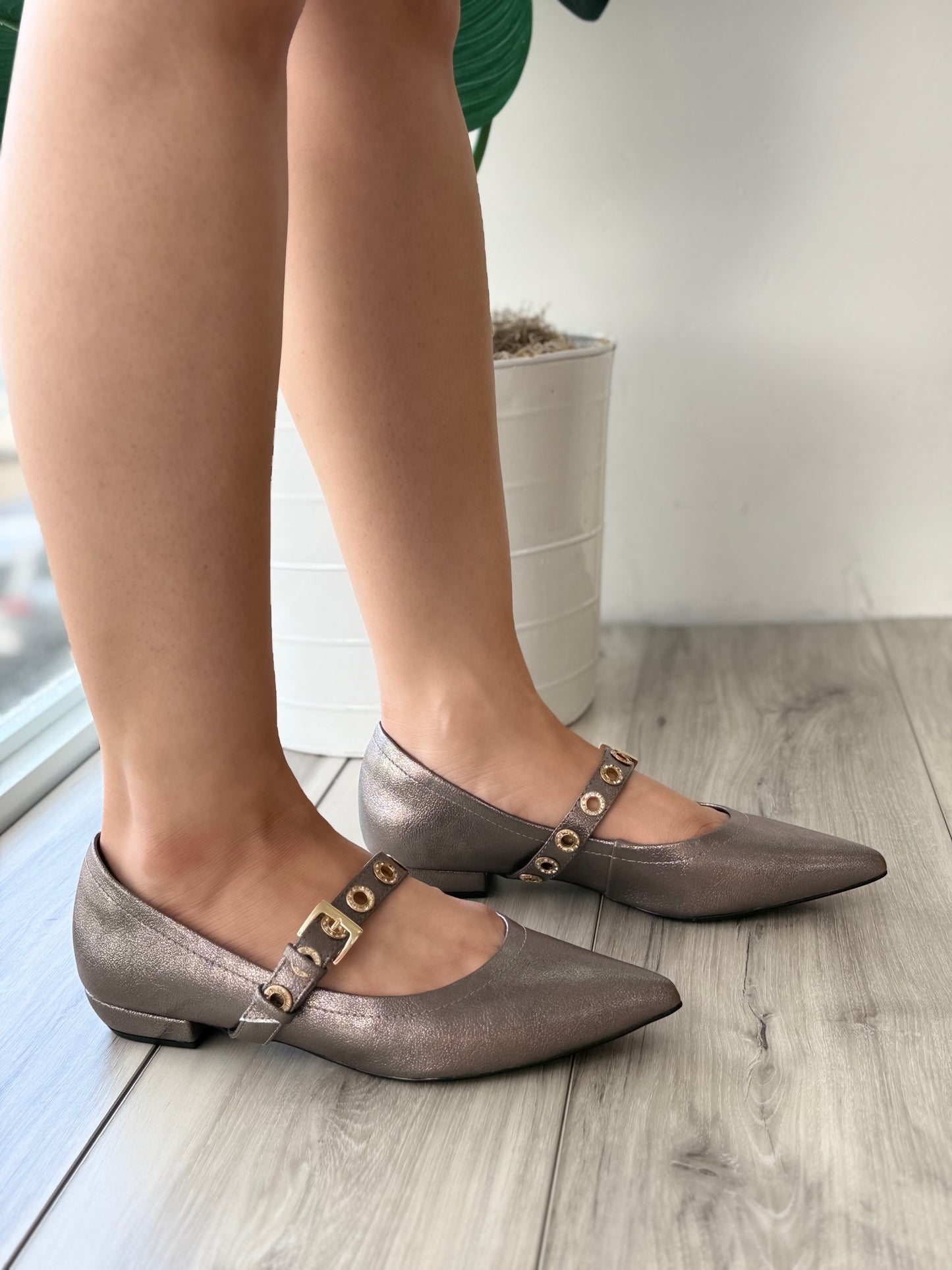 Calypso pewter