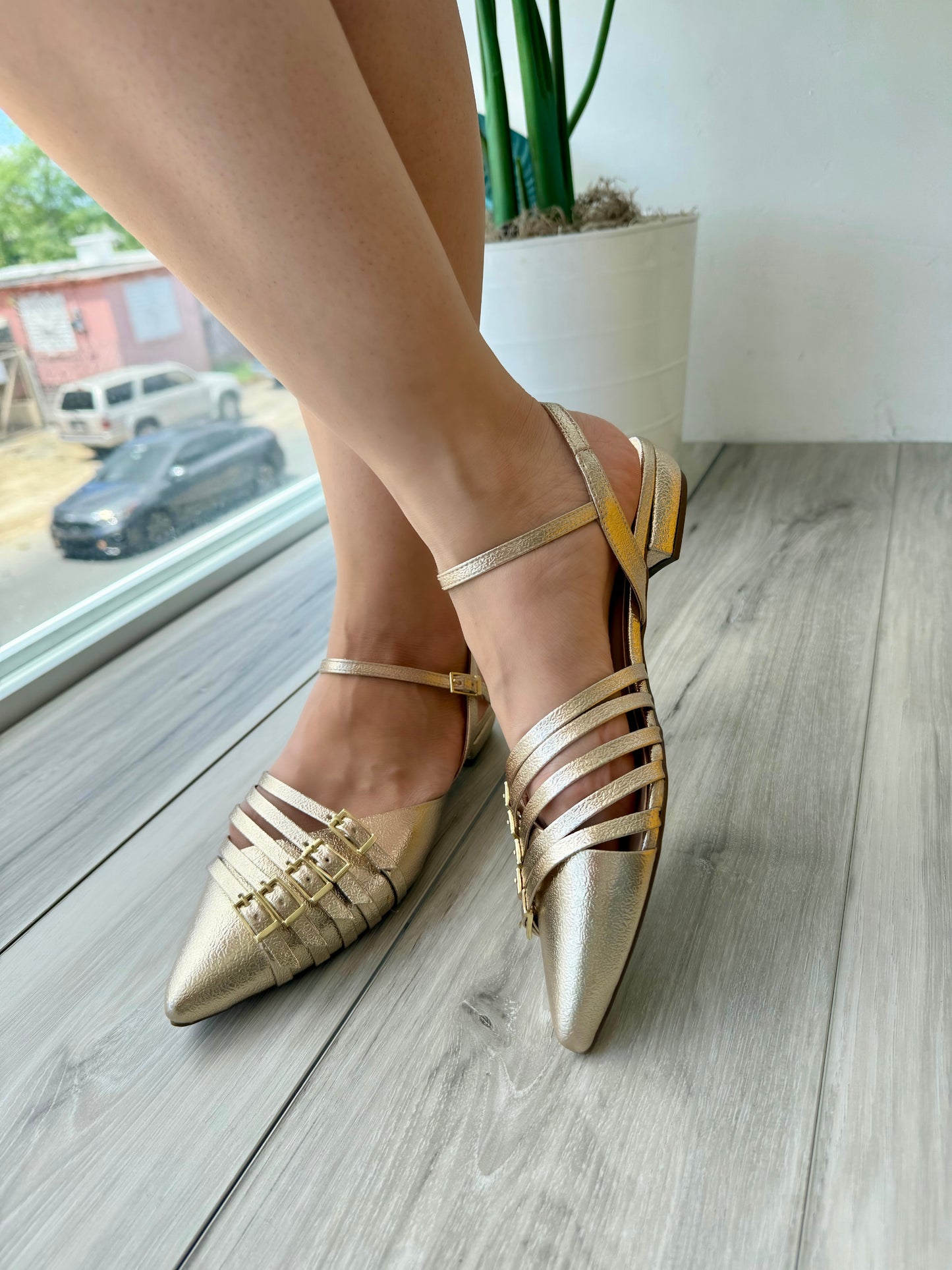 Cordova gold
