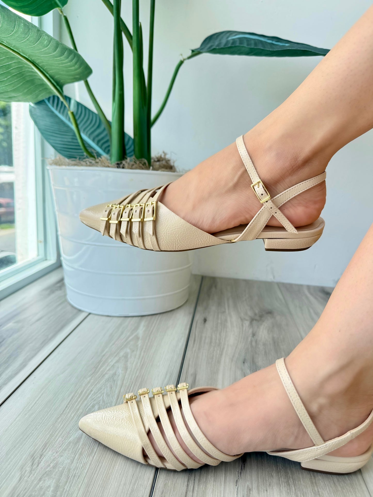 Cordova cream