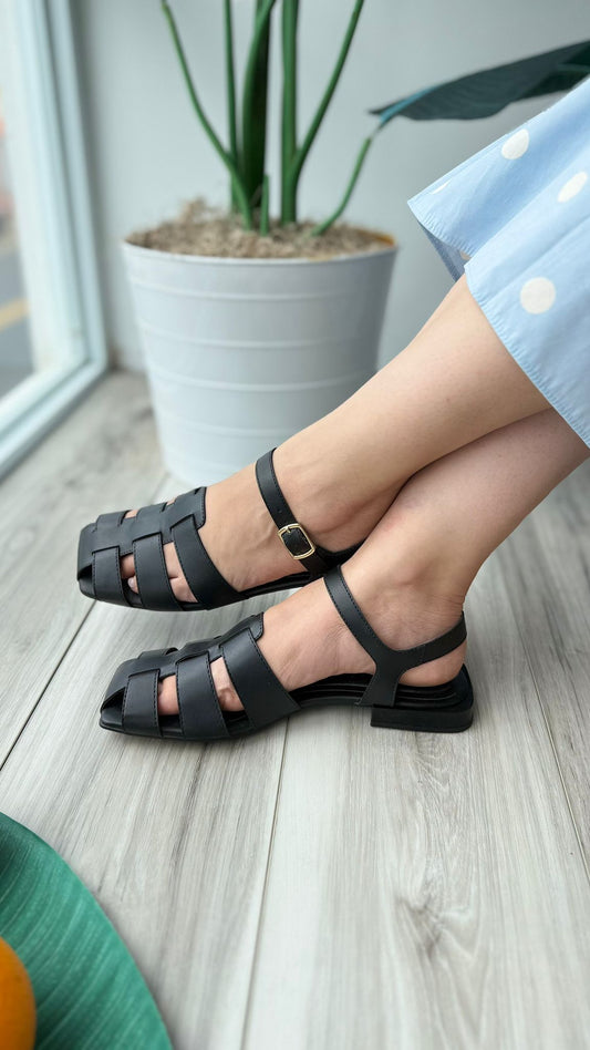 Felippa black