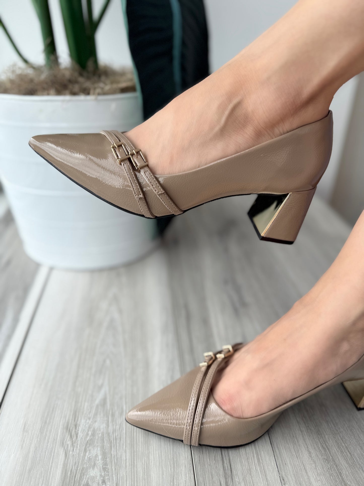 Montgomery noz moscada