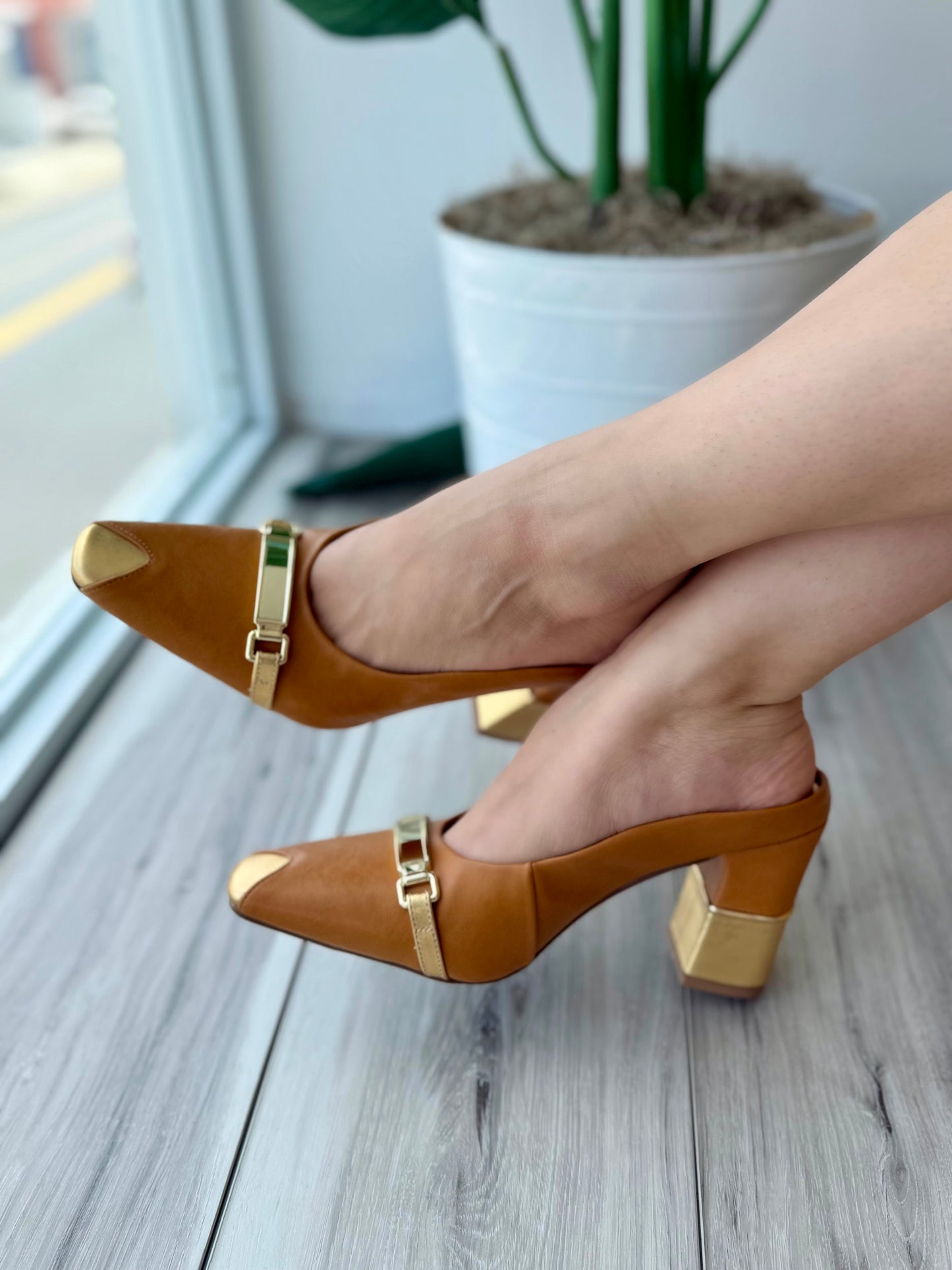 Delfina camel