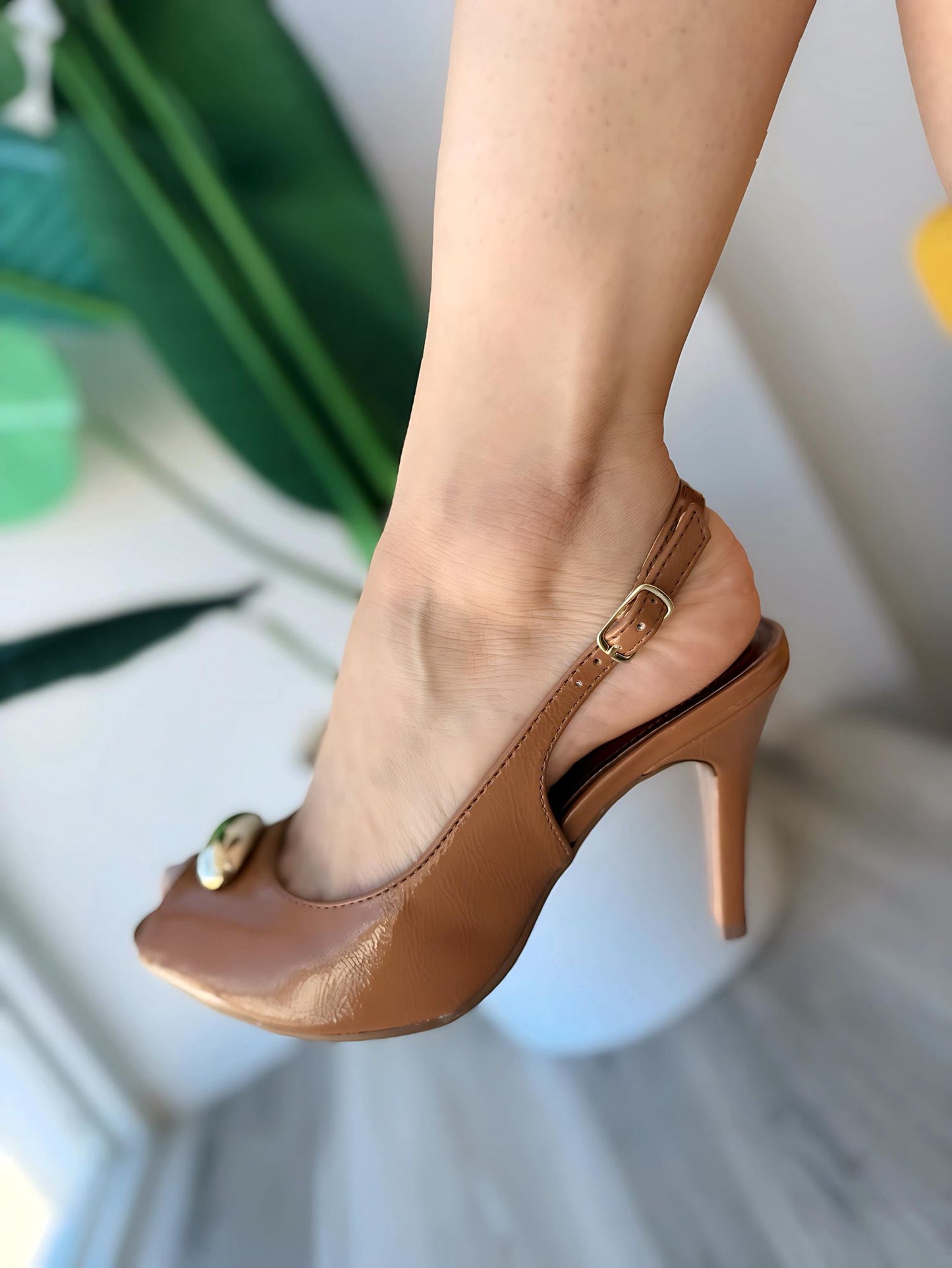 Eugenia camel
