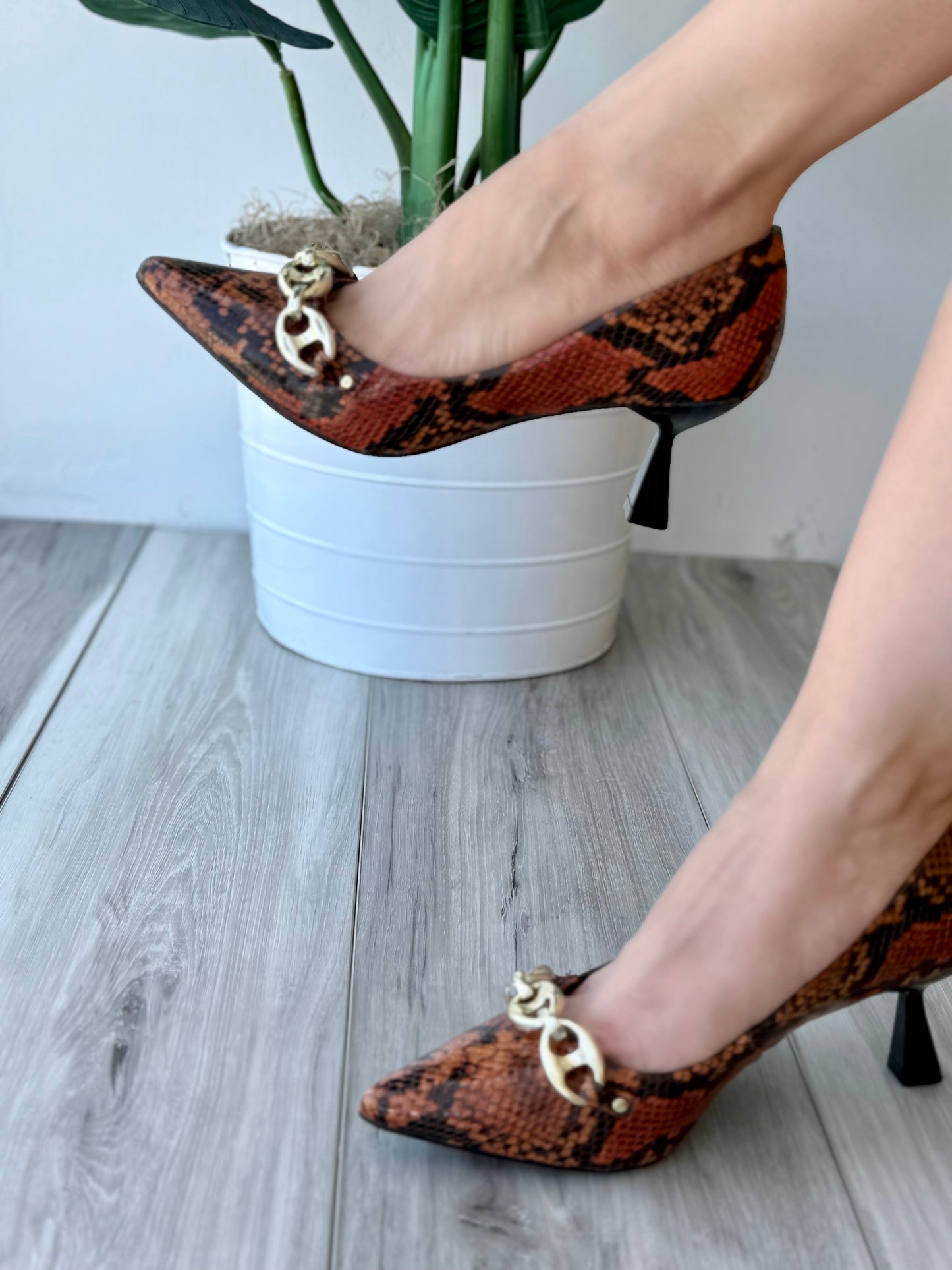 Raffaela snake