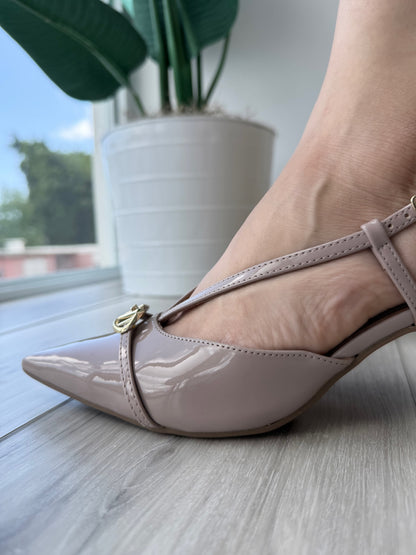 Malva gardenia