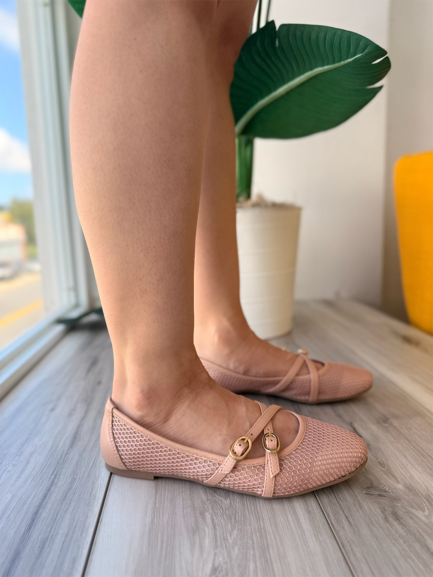 Leli macadamia