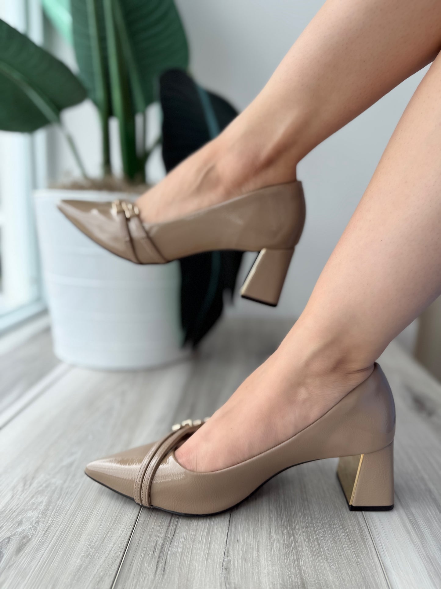 Montgomery noz moscada