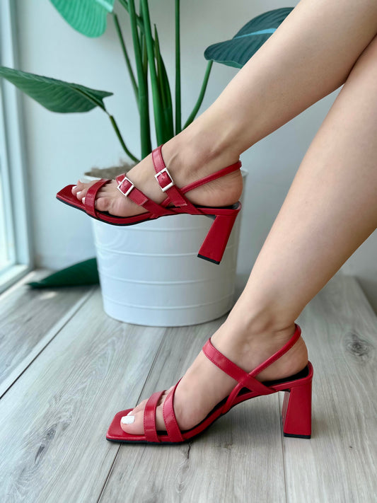 Patricia red