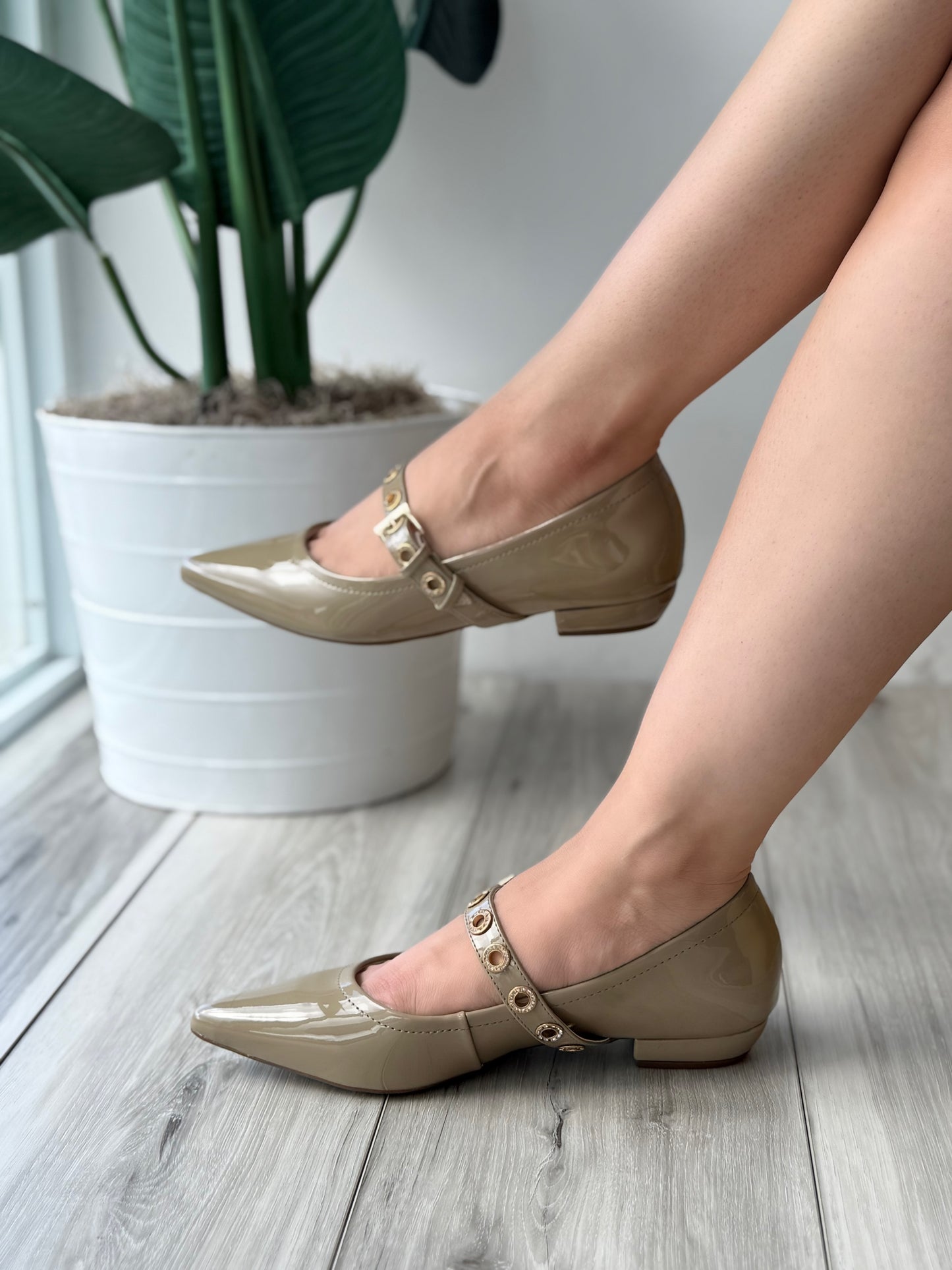 Calypso green