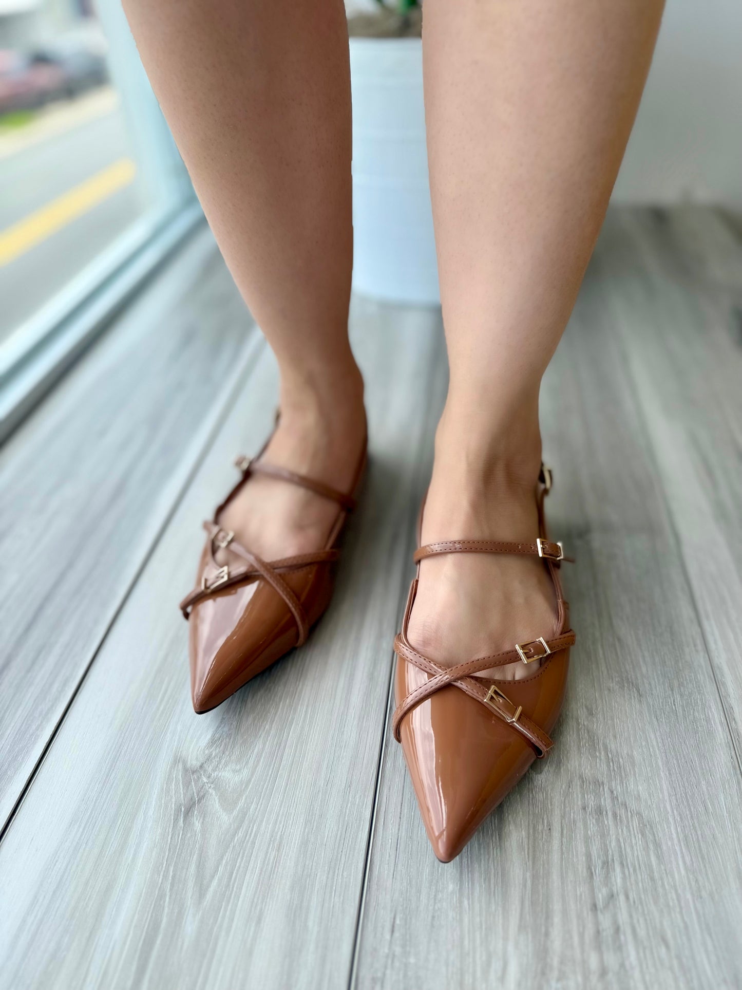 Iris camel