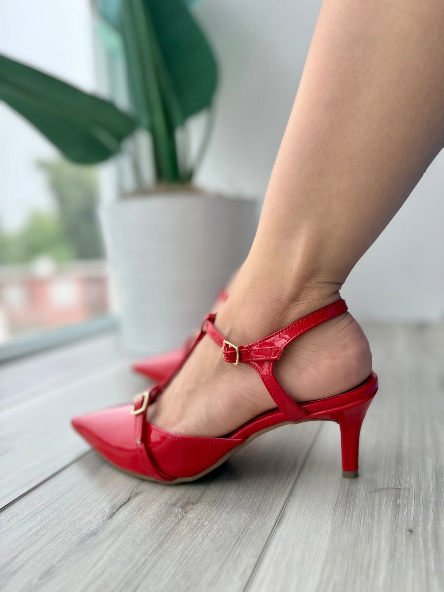 Libia red