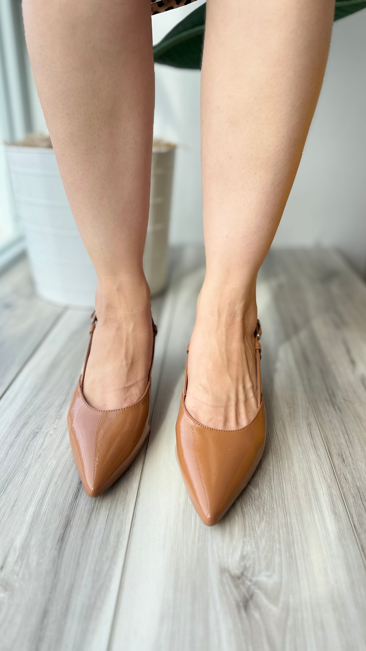 Odette camel
