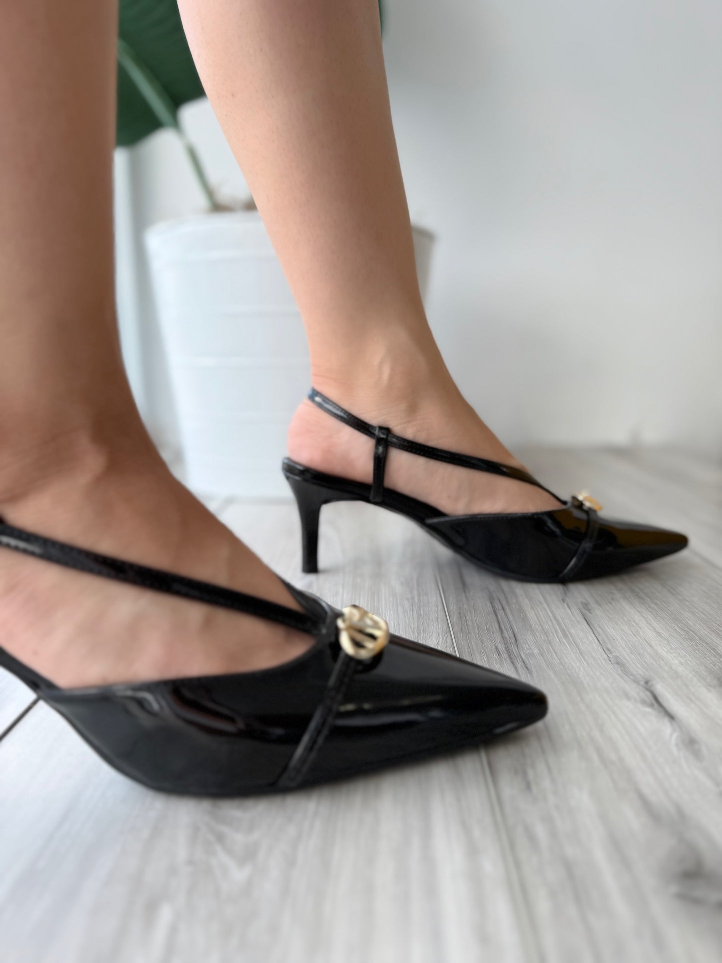Malva black
