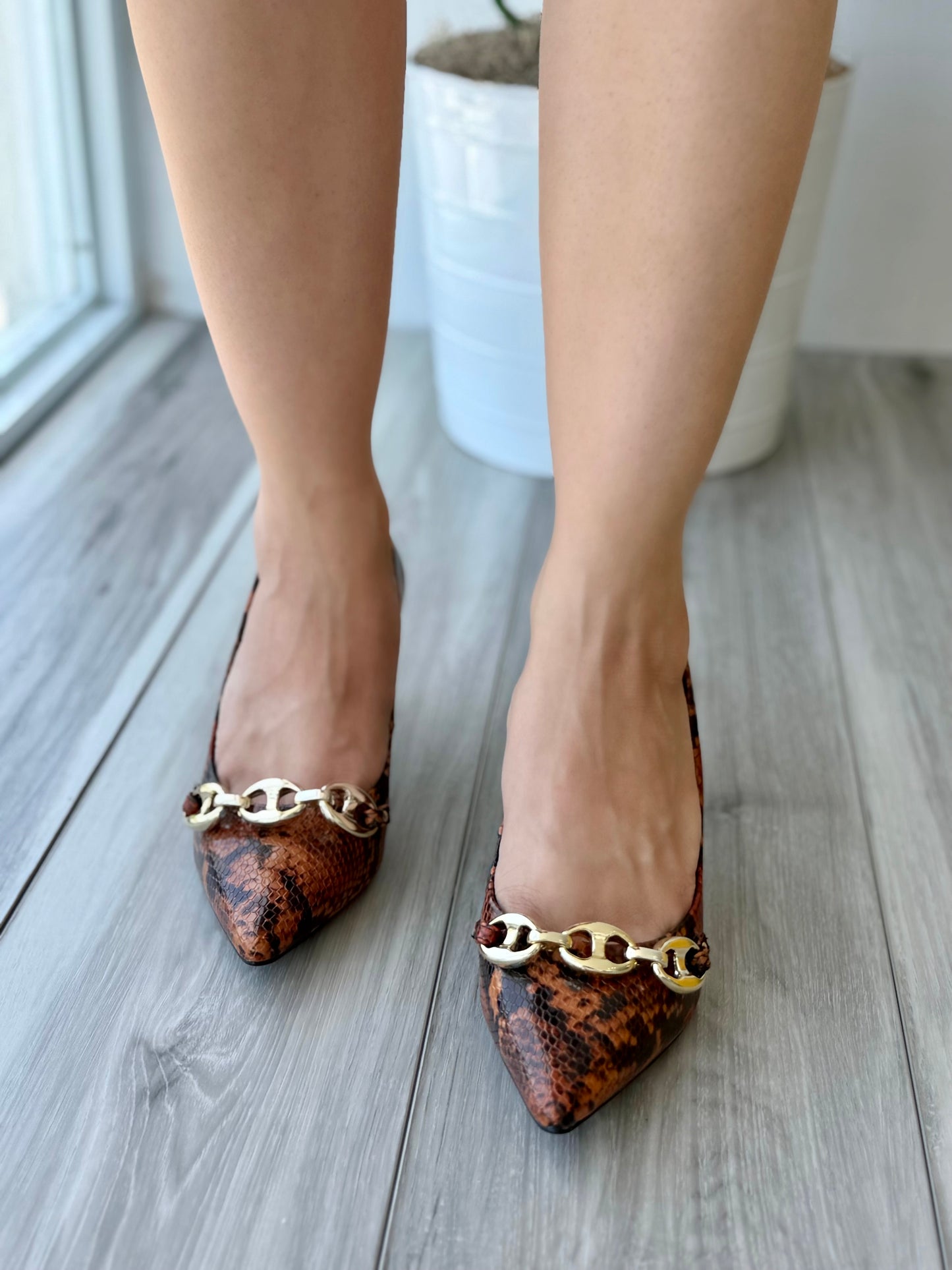 Raffaela snake