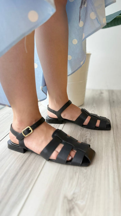 Felippa black