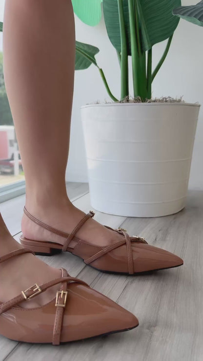 Iris camel